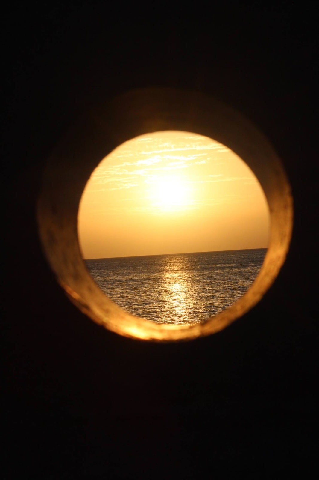 Nov_Sheam Kannan_Shimmer of Hope-min